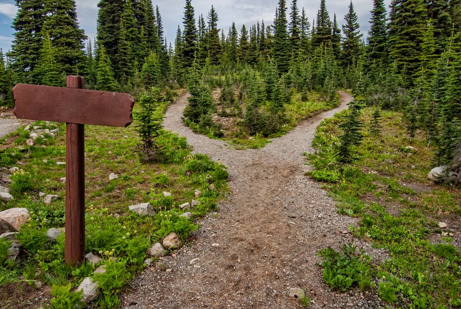 A forest trail splitting into two paths, illustrating the choice between a prompt library and custom GPTs.